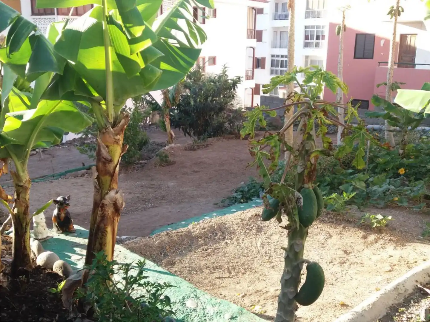 Bebaubares Gelände zum Verkauf in Calle Guimar, 11, Candelaria - Playa La Viuda Garten von Bebaubares Gelände zum Verkauf in Candelaria