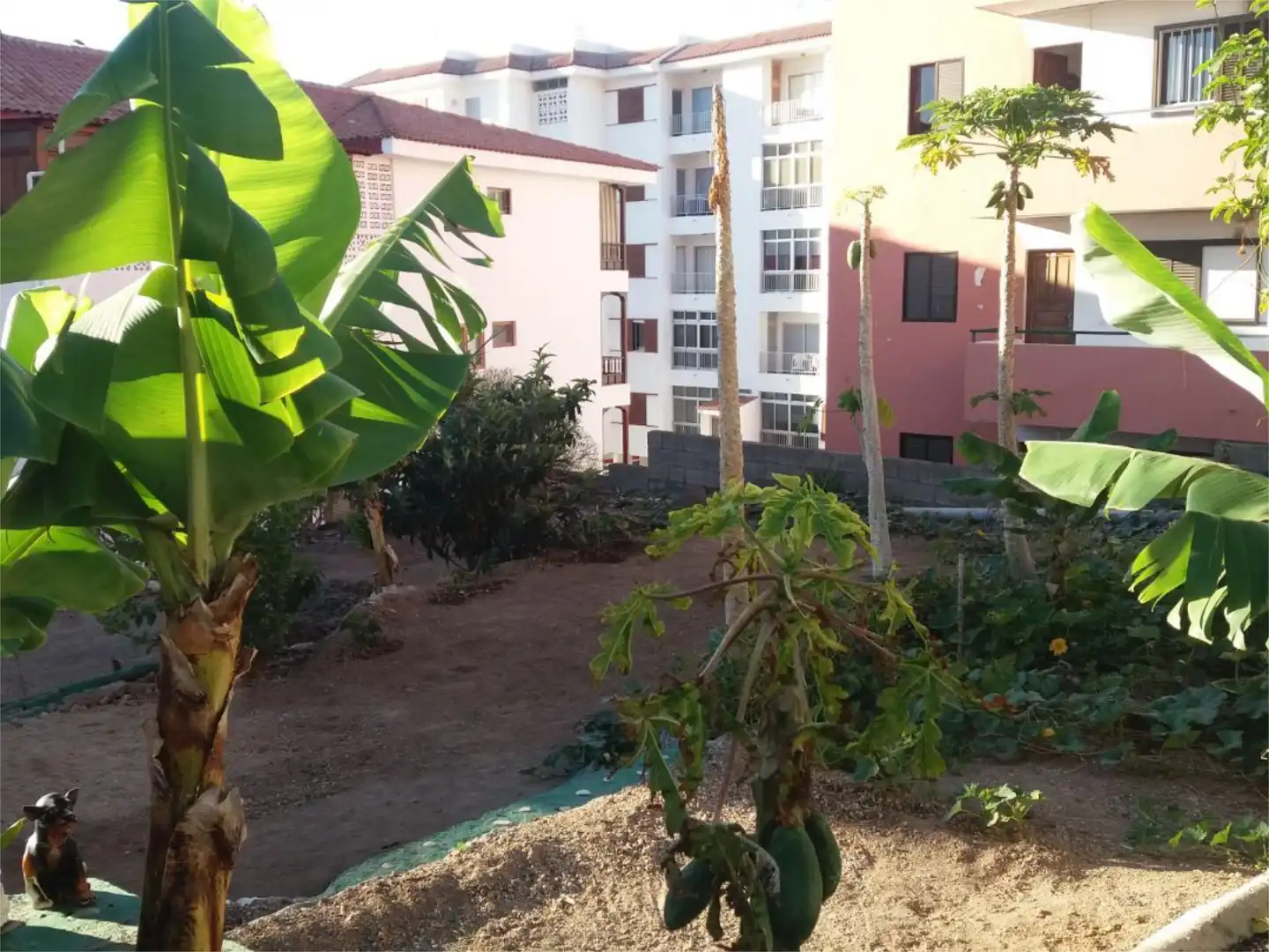 Bebaubares Gelände zum Verkauf in Calle Guimar, 11, Candelaria - Playa La Viuda Garten von Bebaubares Gelände zum Verkauf in Candelaria