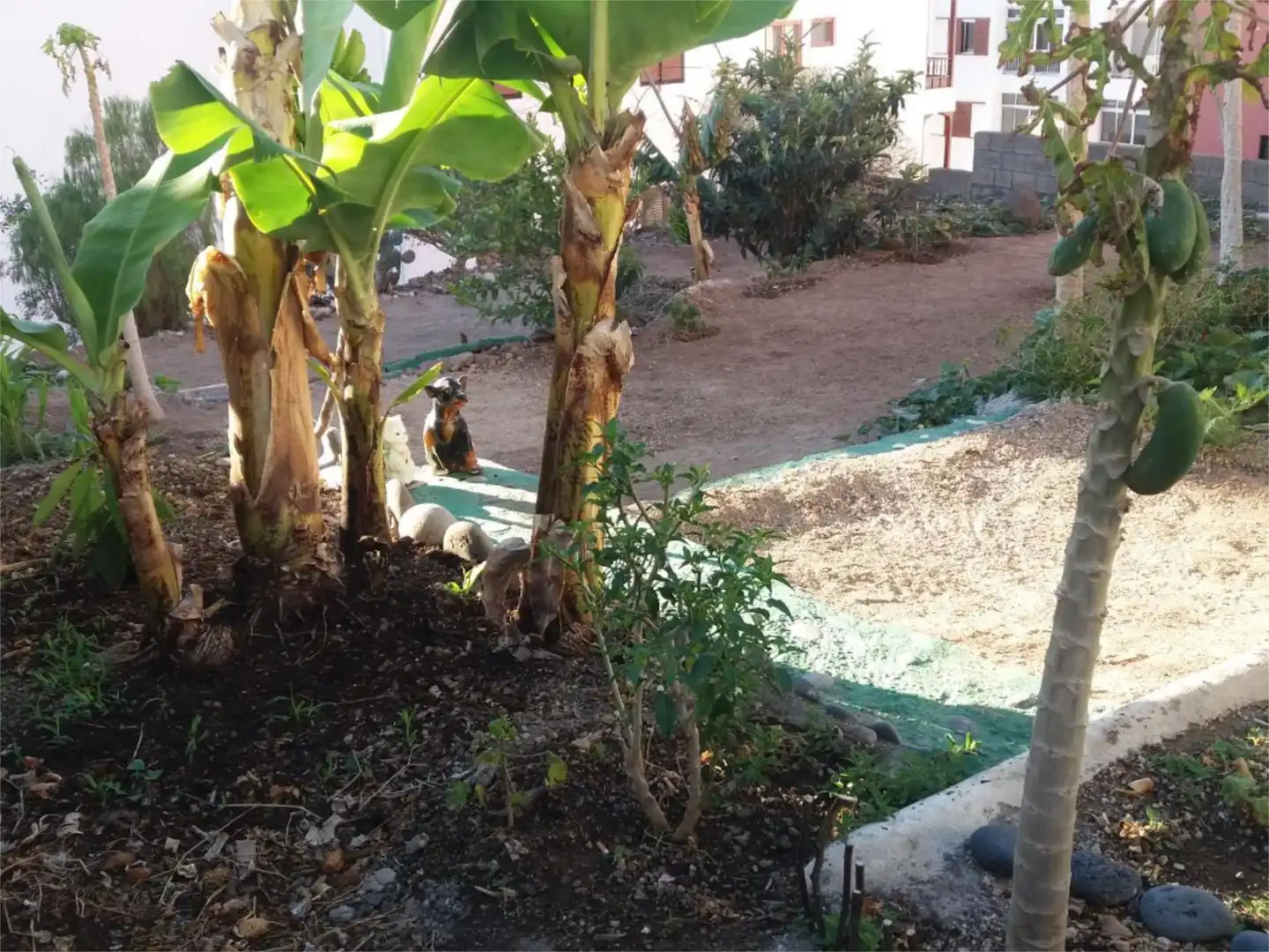 Bebaubares Gelände zum Verkauf in Calle Guimar, 11, Candelaria - Playa La Viuda Garten von Bebaubares Gelände zum Verkauf in Candelaria