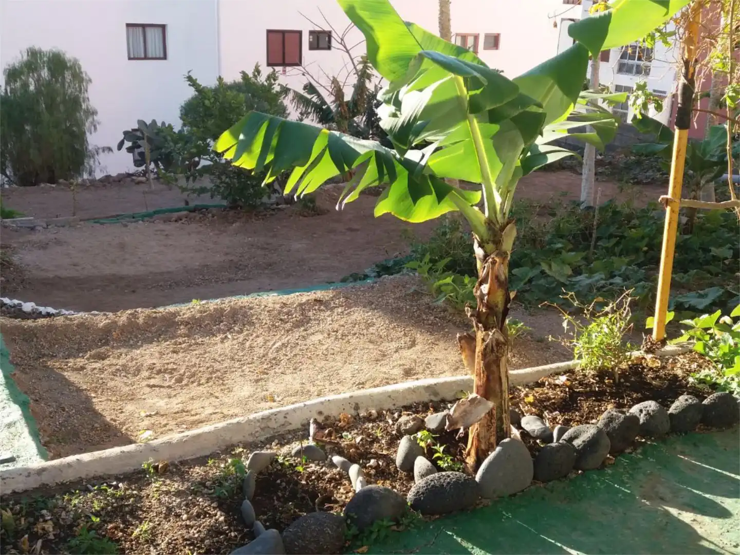 Bebaubares Gelände zum Verkauf in Calle Guimar, 11, Candelaria - Playa La Viuda Garten von Bebaubares Gelände zum Verkauf in Candelaria
