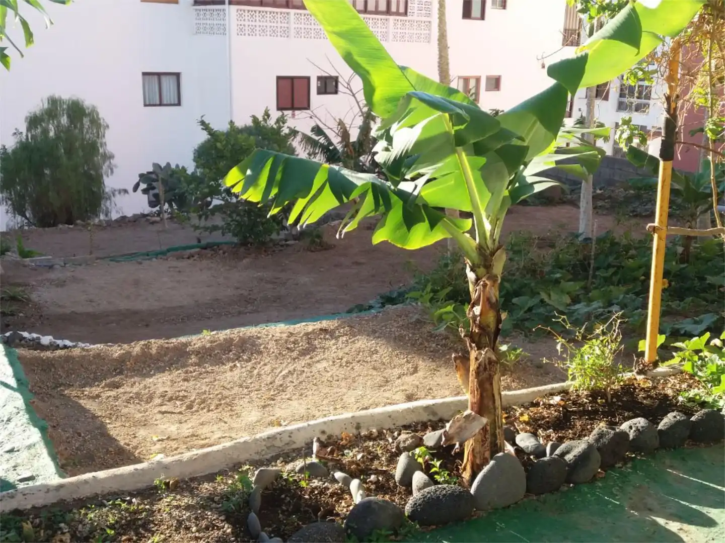 Bebaubares Gelände zum Verkauf in Calle Guimar, 11, Candelaria - Playa La Viuda Garten von Bebaubares Gelände zum Verkauf in Candelaria