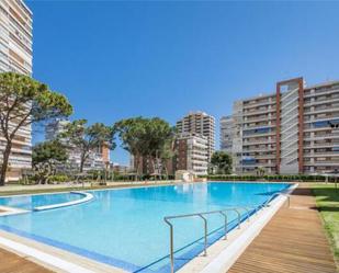 Swimming pool of Apartment to rent in Alicante / Alacant  with Terrace and Swimming Pool