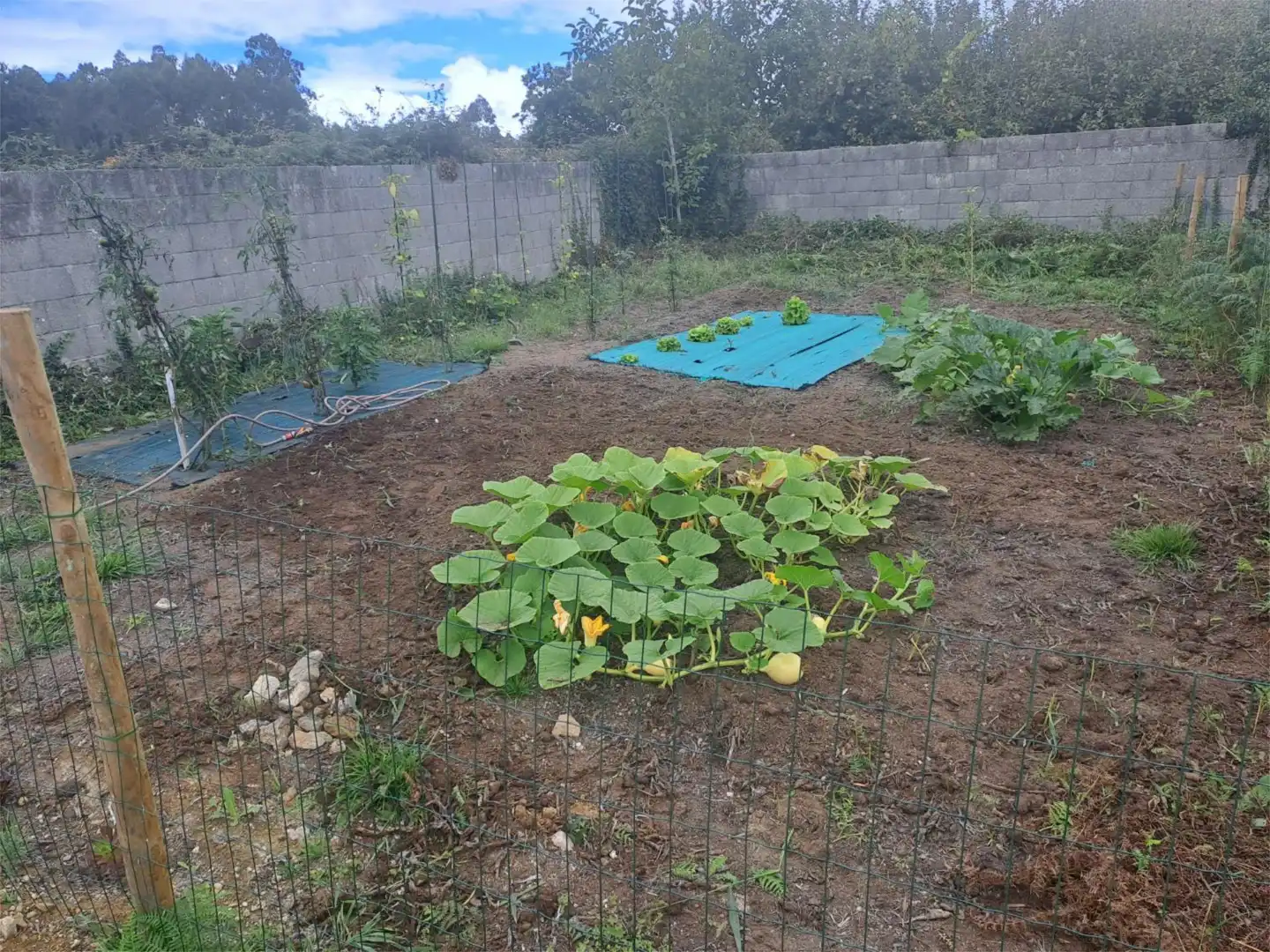 Urbanizable en venta en Castrillón, 20, Coirós Jardín de Urbanizable en venta en Coirós