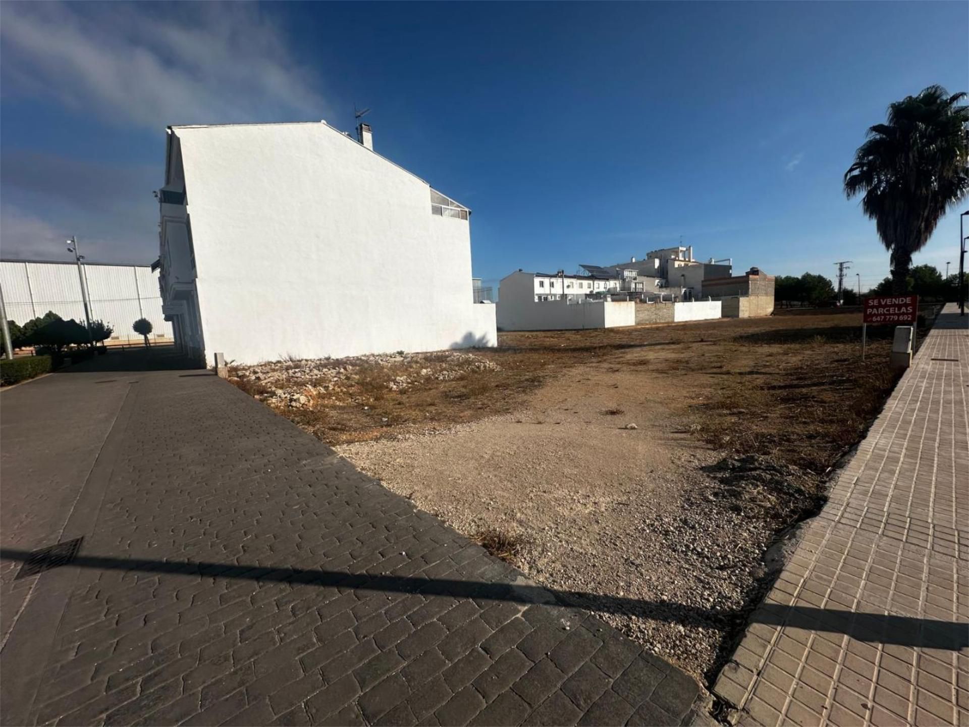 Land for sale in Benimodo