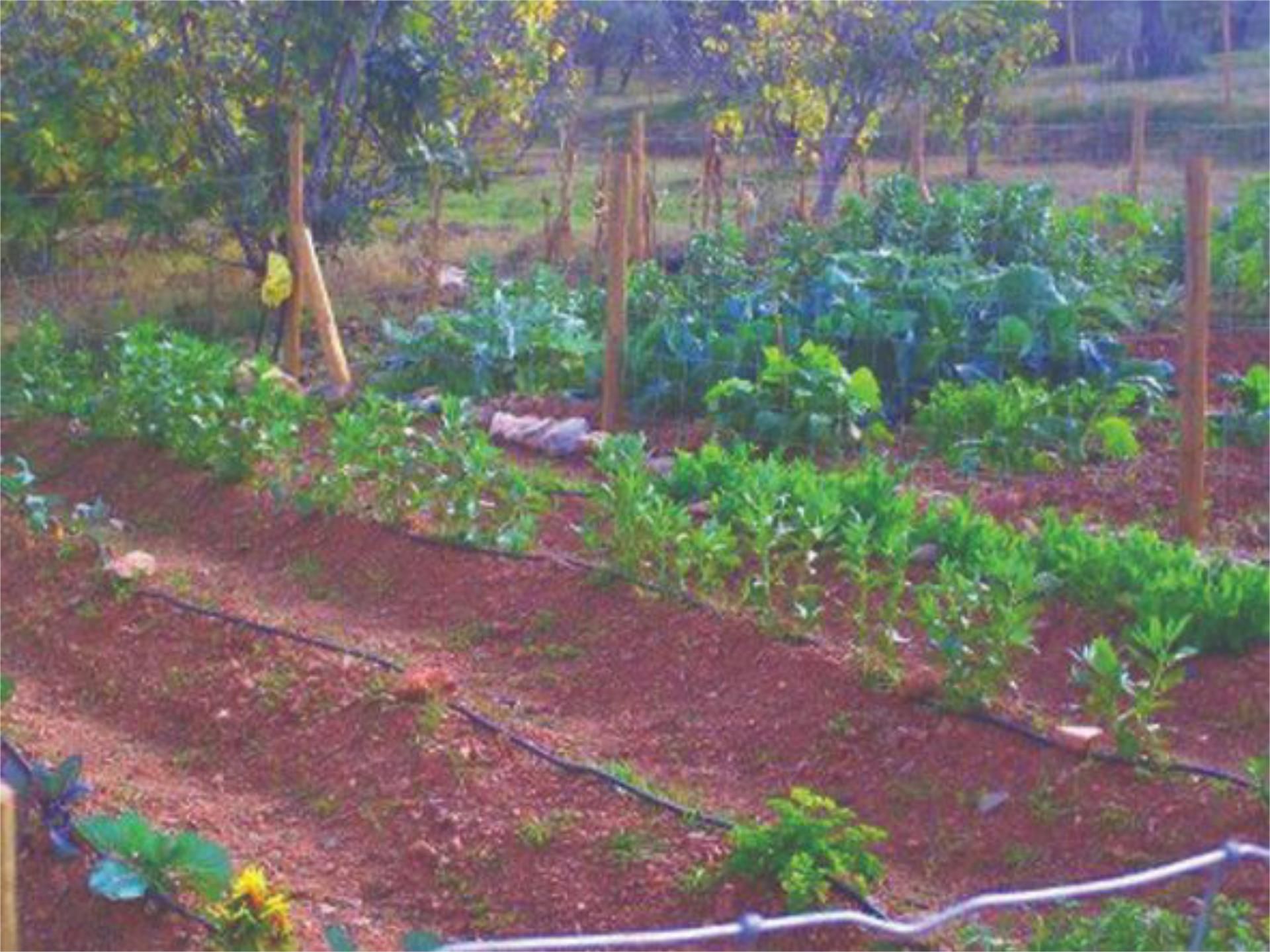 Garden of Non-constructible Land for sale in Málaga Capital