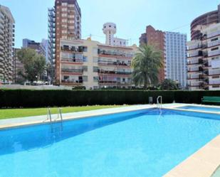 Piscina de Pis de lloguer en Benidorm amb Terrassa i Piscina