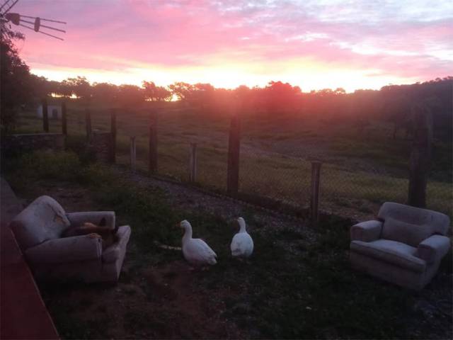 Finca rústica en Venta en Plaza España, 8 en El Ronquillo