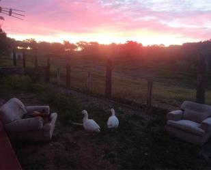 Jardí de Finca rústica en venda en El Ronquillo