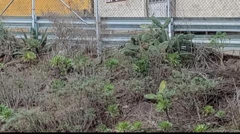 Foto 5 de Finca rústica en venda a Calle Los Silos, 14, La Cuesta -Finca España, Santa Cruz de Tenerife