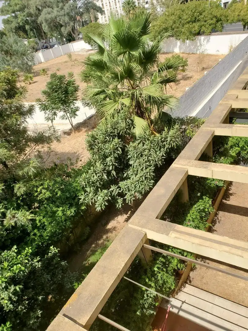 Terraza de Garaje en venta en Sevilla