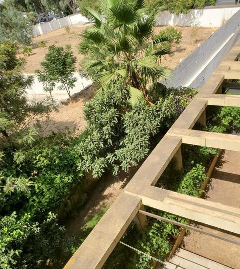 Photo 2 of Garage for sale in Calle Jandula, 2, Pedro Salvador - Las Palmeritas, Sevilla