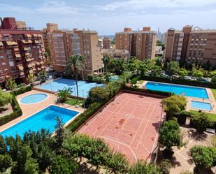 Swimming pool of Flat to rent in Alicante / Alacant  with Air Conditioner, Swimming Pool and Balcony