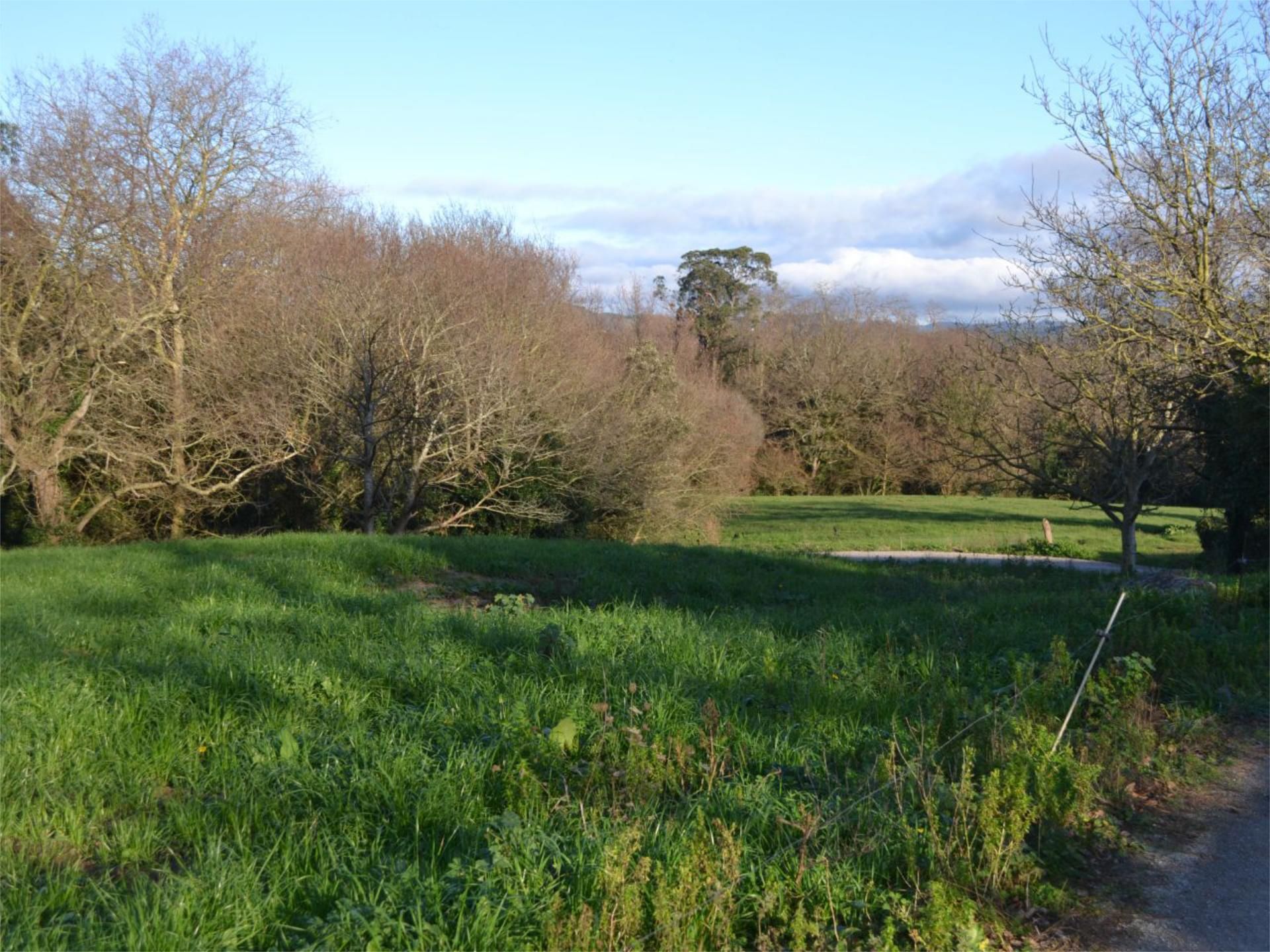 Constructible Land for sale in Marina de Cudeyo