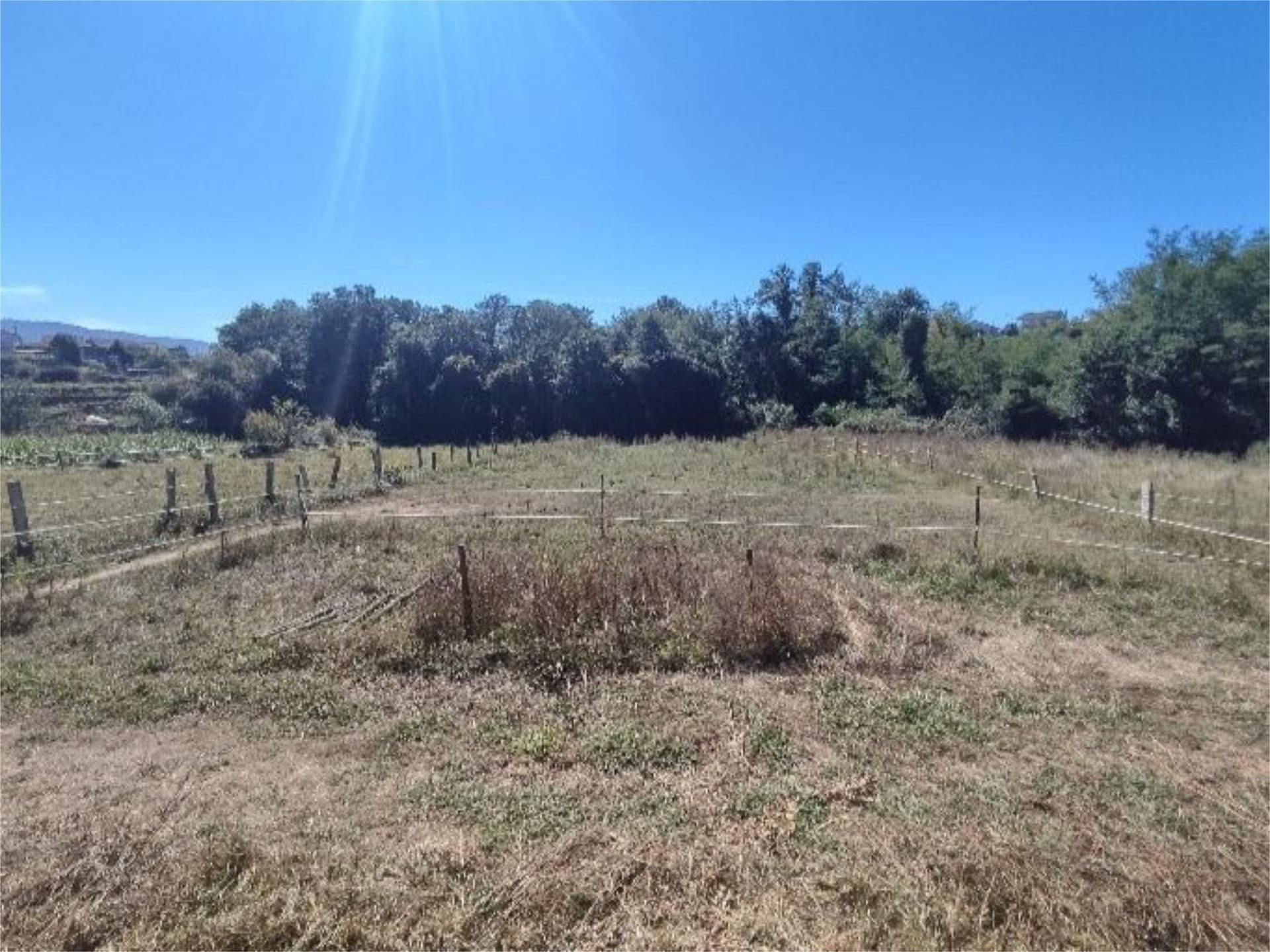 Finca rústica en venta en Mos