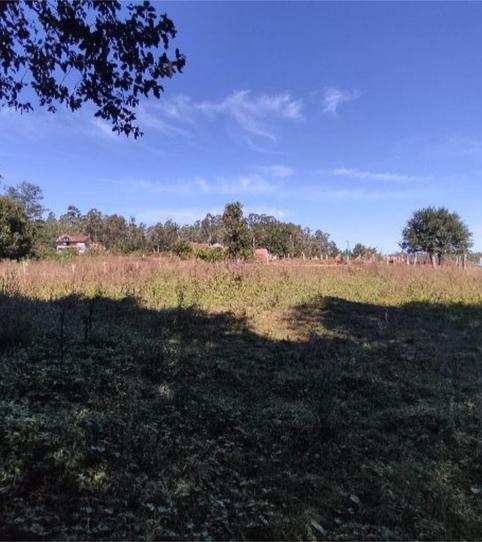 Foto 2 de Finca rústica en venda a Camiño Os Do López, 41, Mos, Pontevedra