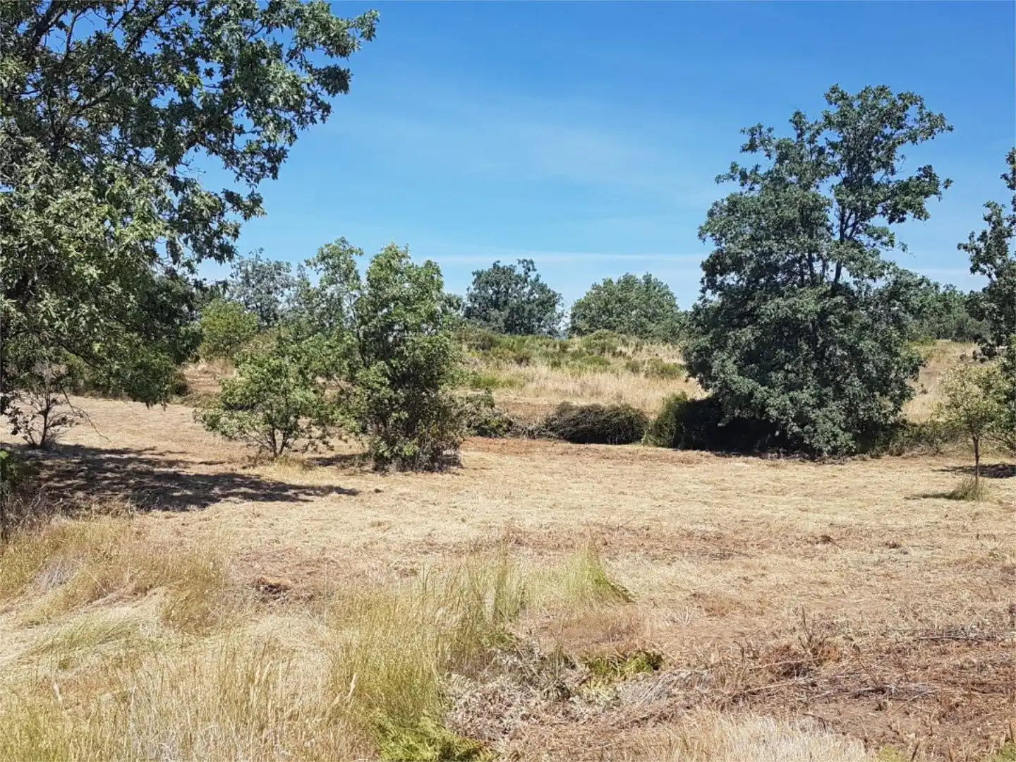 Terreno en venta en Avenida de la Constitución, Viandar de la Vera Terreno en venta en Avenida de la Constitución, Viandar de la Vera