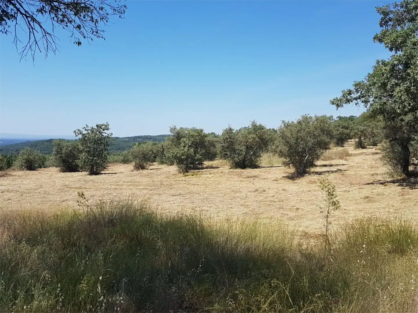 Terreno en venta en Avenida de la Constitución, Viandar de la Vera Terreno en venta en Avenida de la Constitución, Viandar de la Vera