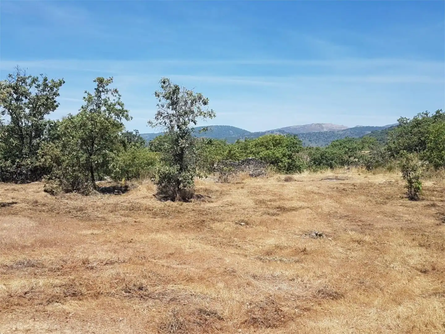Terreno en venta en Avenida de la Constitución, Viandar de la Vera Terreno en venta en Avenida de la Constitución, Viandar de la Vera