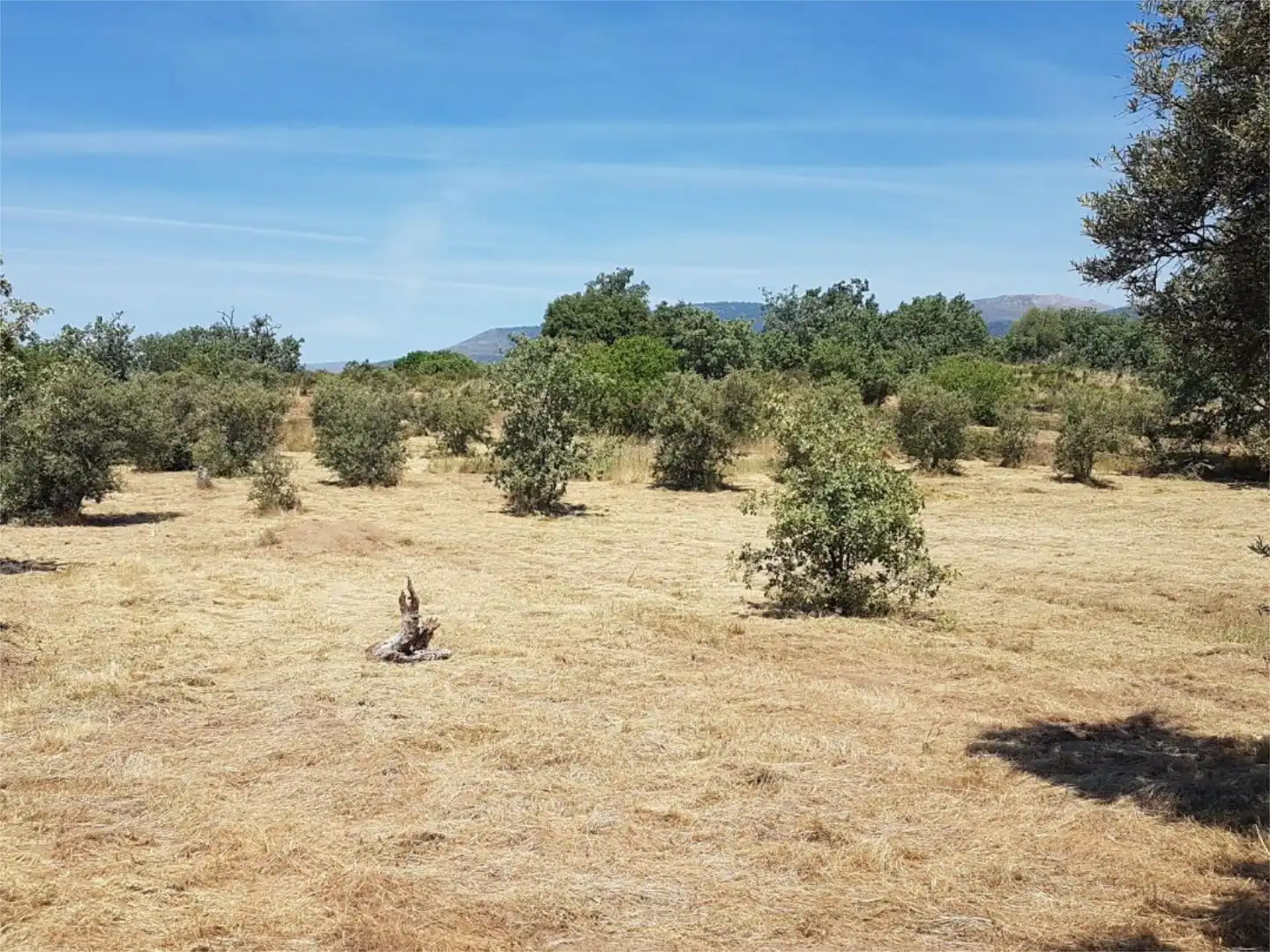 Terreno en venta en Avenida de la Constitución, Viandar de la Vera Terreno en venta en Avenida de la Constitución, Viandar de la Vera