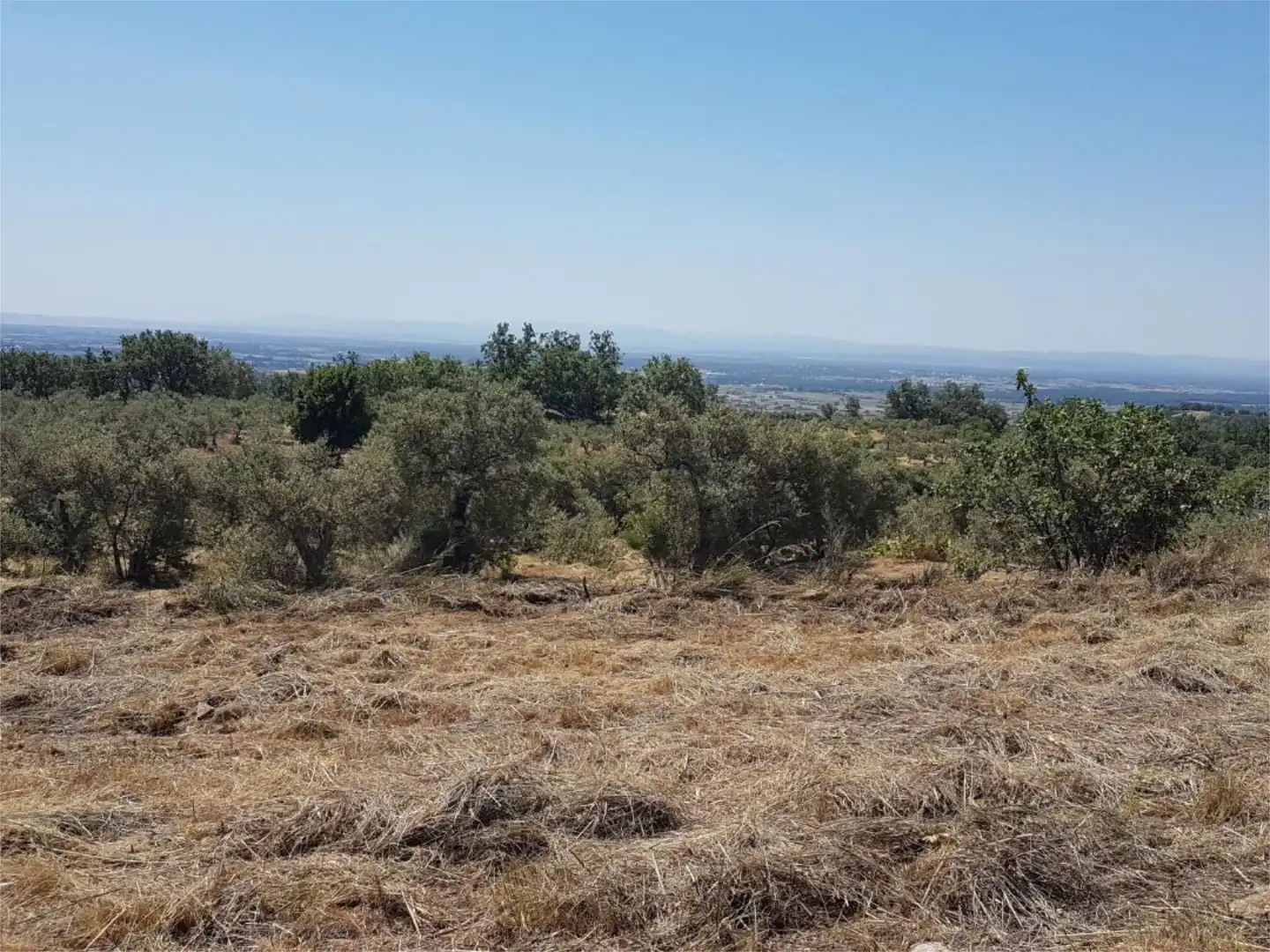 Terreno en venta en Avenida de la Constitución, Viandar de la Vera Terreno en venta en Avenida de la Constitución, Viandar de la Vera