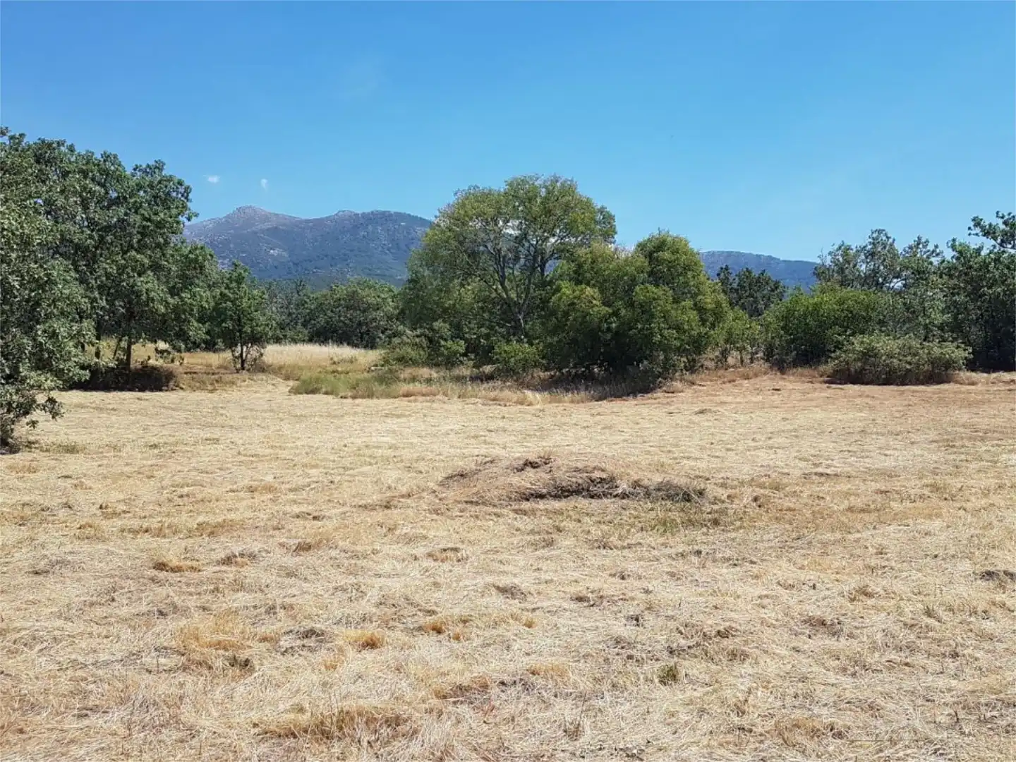 Terreno en venta en Avenida de la Constitución, Viandar de la Vera Terreno en venta en Avenida de la Constitución, Viandar de la Vera