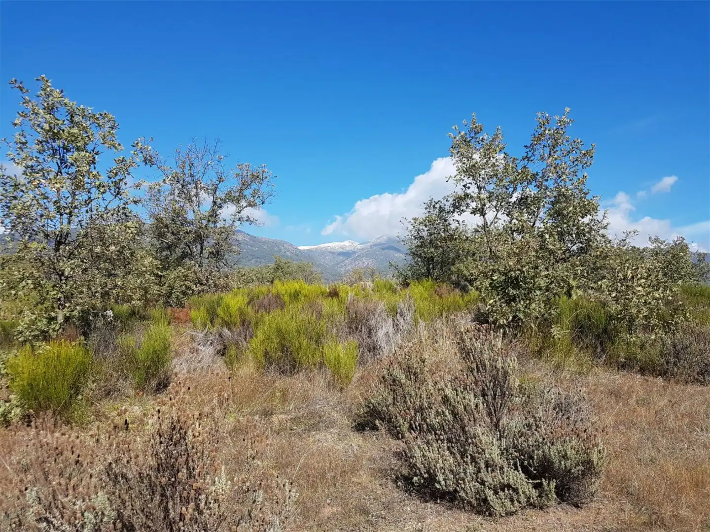 Terreno en venta en Avenida de la Constitución, Viandar de la Vera Terreno en venta en Avenida de la Constitución, Viandar de la Vera