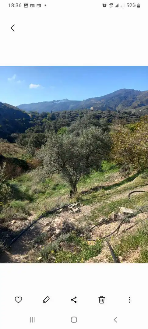 Terreno en venta en Otívar Terreno en venta en Otívar