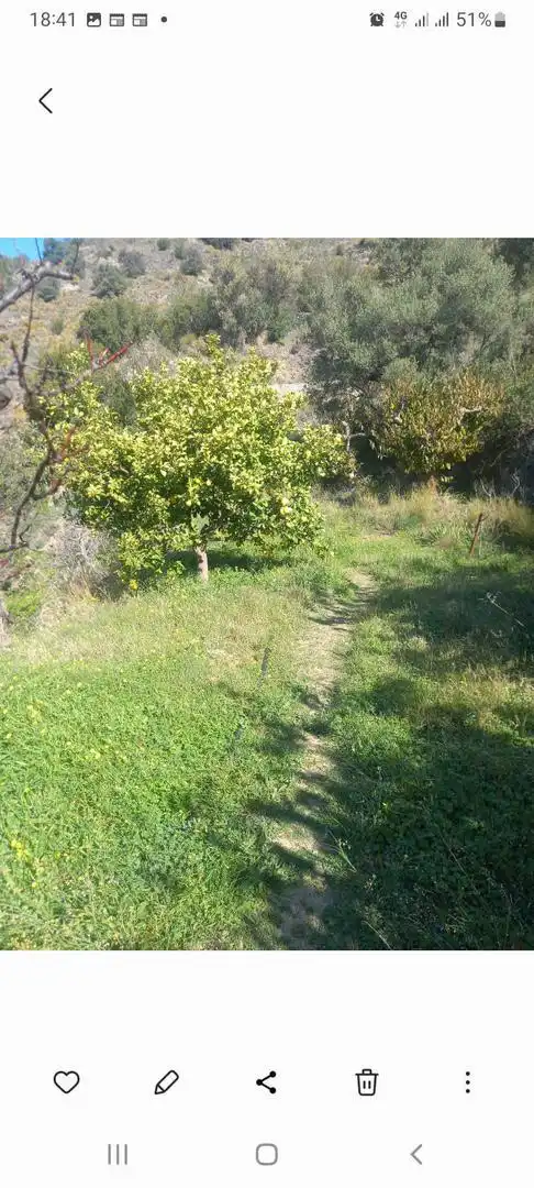 Terreno en venta en Otívar Terreno en venta en Otívar