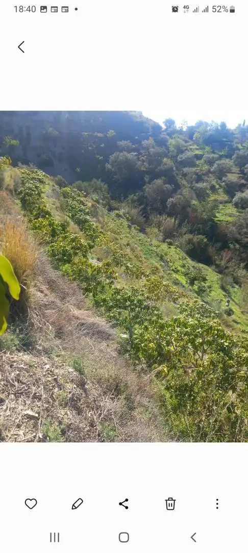Terreno en venta en Otívar Terreno en venta en Otívar