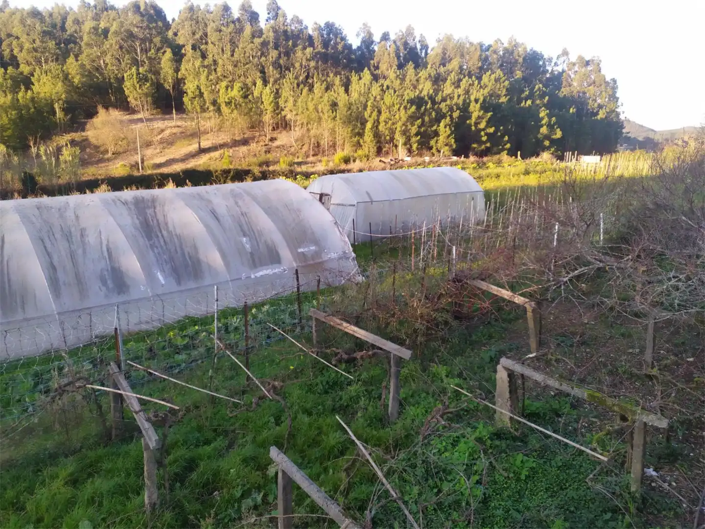 Pis en venda a Aldea Raño, 105, Rianxo Jardí de Pis en venda en Rianxo