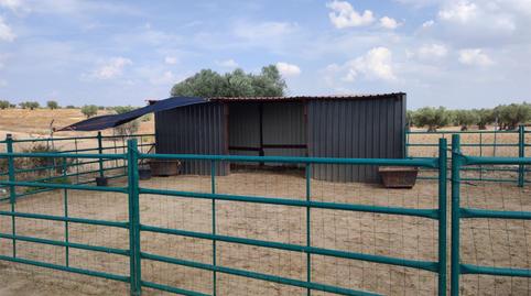 Foto 3 de Terreny en venda a Calle Cervantes, 37, Portillo de Toledo, Toledo