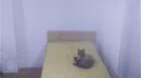 Study for sale in Calle Albornoz, 3, Casco Antiguo, La Rioja - image 4 Photo 4 of Study for sale in Calle Albornoz, 3, Casco Antiguo, La Rioja