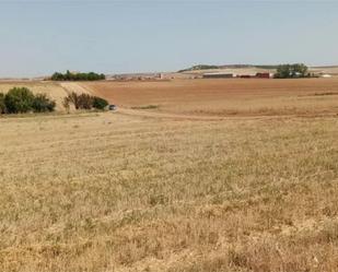 Land for sale in Cubillos