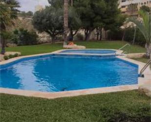 Swimming pool of Study to rent in El Campello  with Terrace and Swimming Pool