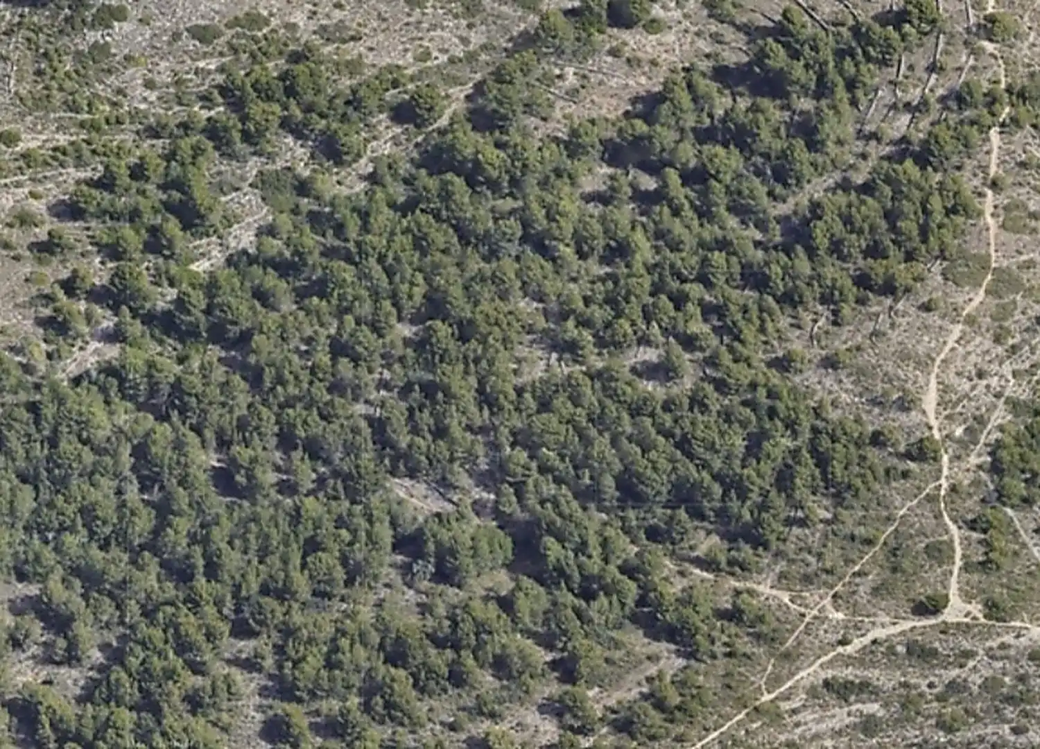 No Urbanitzable en venda a Partida Bovalar, 115, Mestrets No Urbanitzable en venda en Castellón de la Plana / Castelló de la Plana