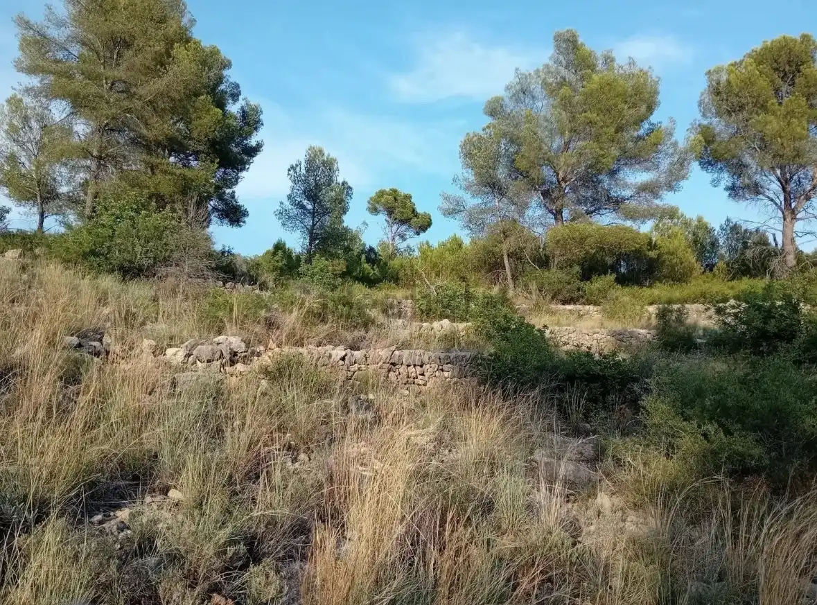 No Urbanitzable en venda a Partida Bovalar, 115, Mestrets No Urbanitzable en venda en Castellón de la Plana / Castelló de la Plana