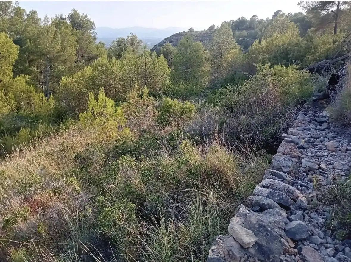 No Urbanitzable en venda a Partida Bovalar, 115, Mestrets No Urbanitzable en venda en Castellón de la Plana / Castelló de la Plana