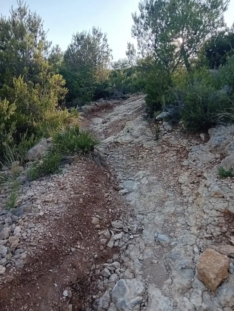 No Urbanitzable en venda a Partida Bovalar, 115, Mestrets No Urbanitzable en venda en Castellón de la Plana / Castelló de la Plana
