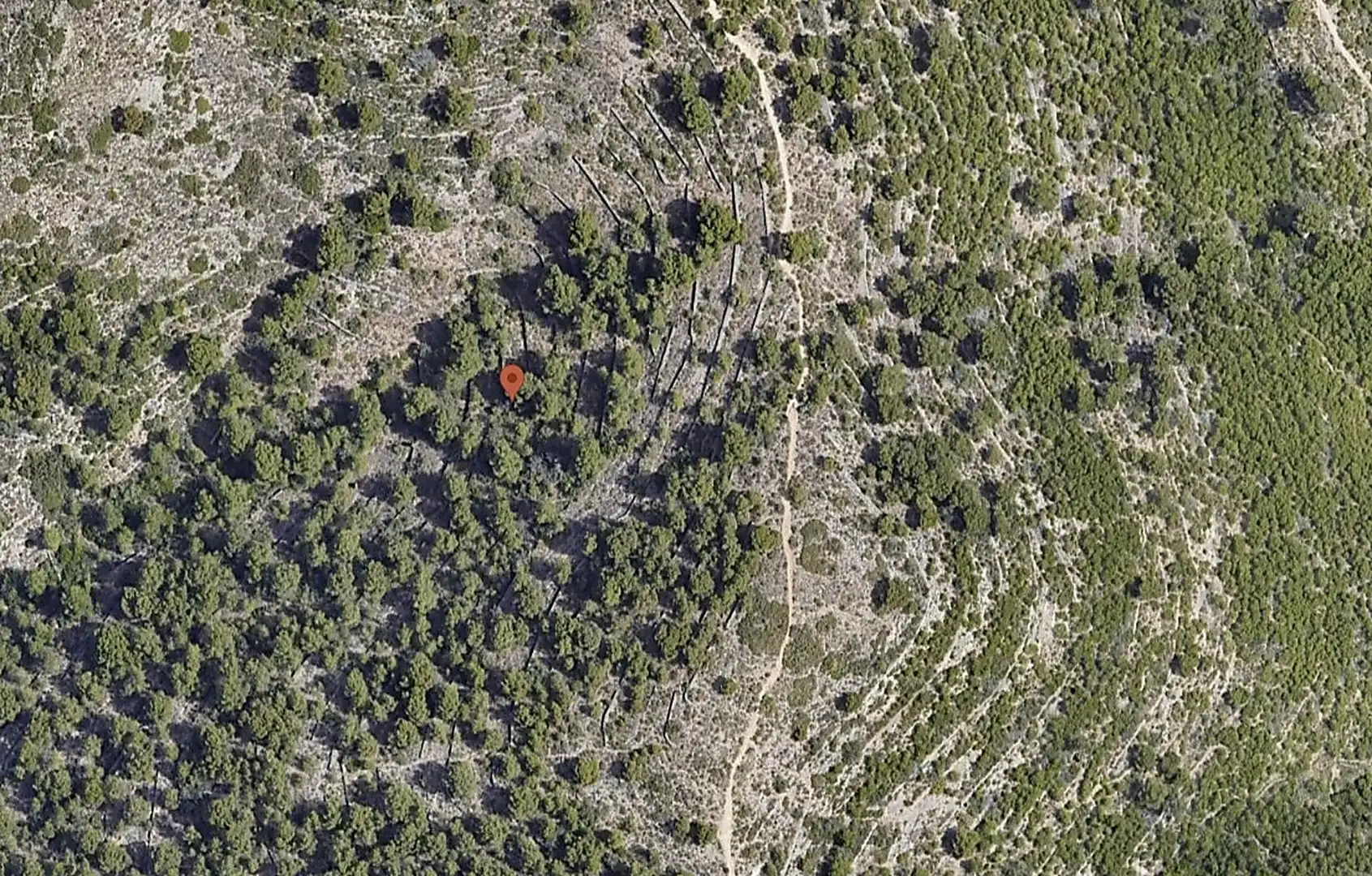 No Urbanitzable en venda a Partida Bovalar, 115, Mestrets No Urbanitzable en venda en Castellón de la Plana / Castelló de la Plana