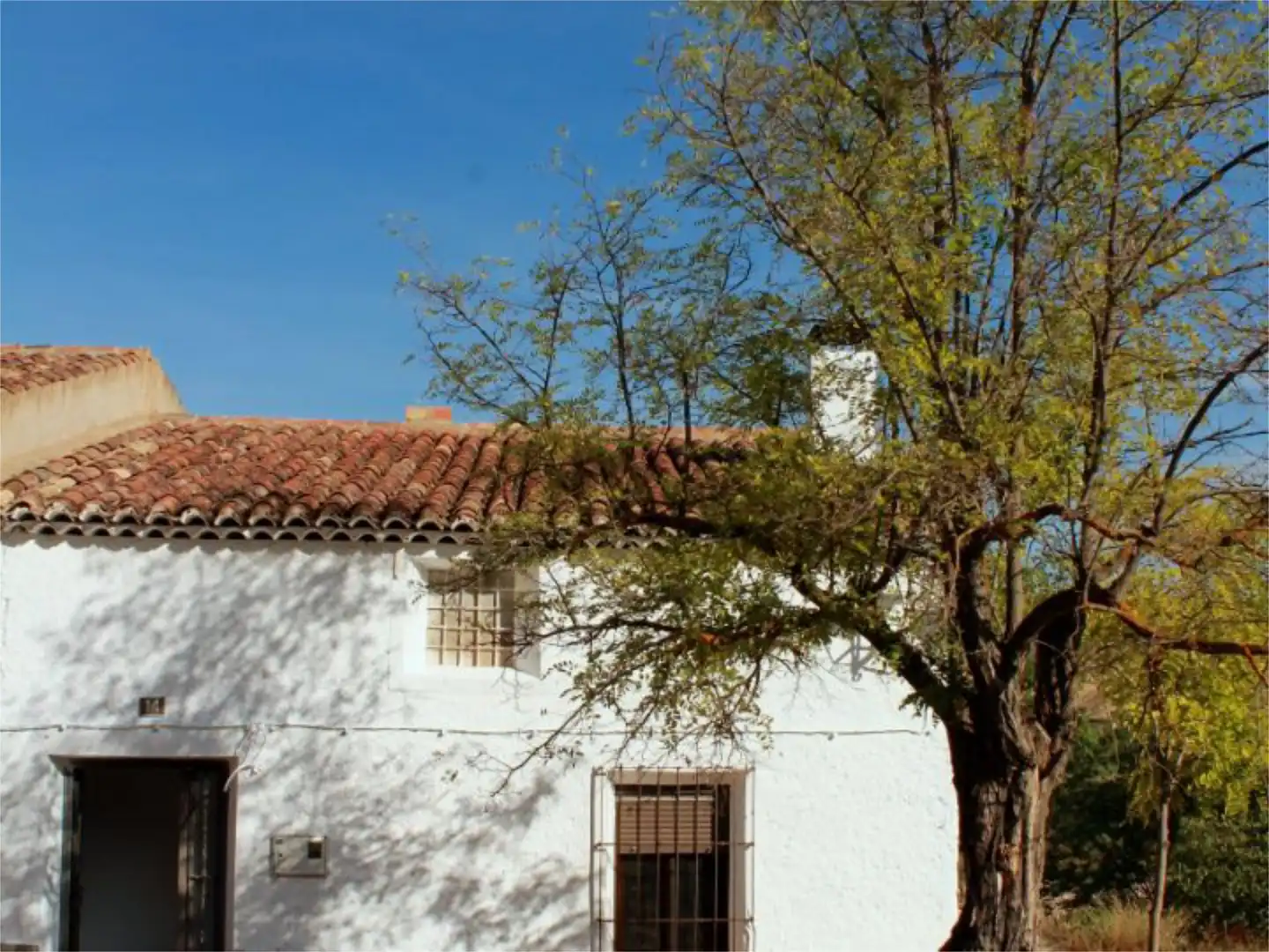 Vista exterior de Casa adosada en venda en Letur