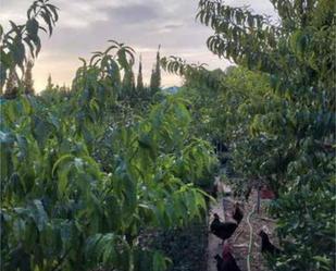 Jardí de Casa o xalet en venda en Montserrat amb Terrassa i Piscina