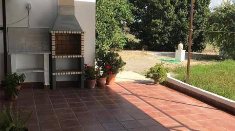 Foto 5 de Finca rústica en venda a Lebrija, Sevilla