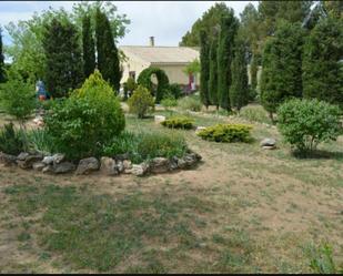 Jardí de Planta baixa en venda en Villar de Cañas amb Piscina