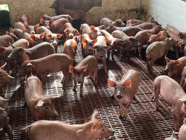 Terreno en Venta en Carretera Estación, 3 en Medina de las Torres