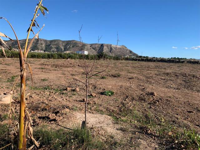 Terreno no urbanizable en Venta en Plaça Numero 54 Alm Serv, 72 en Pueblo de Cullera