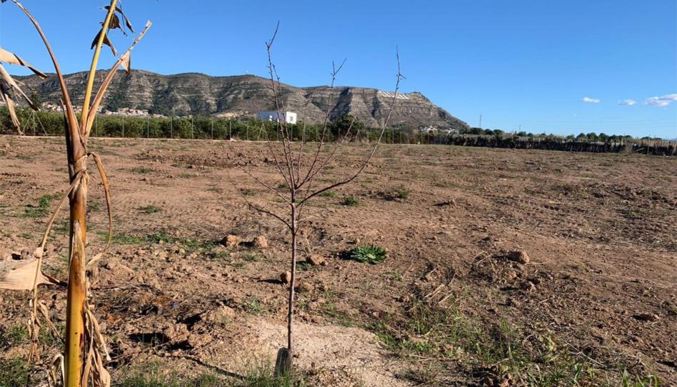 Foto 1 de No Urbanitzable en venda a Plaça Numero 54 Alm Serv, 72, Pueblo de Cullera, Valencia