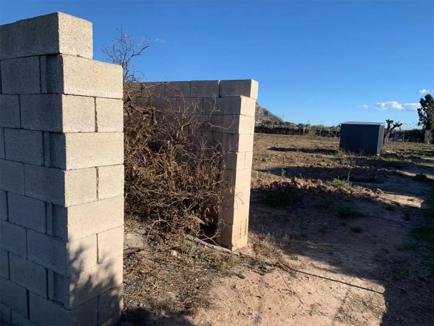 Non-constructible Land for sale in Cullera