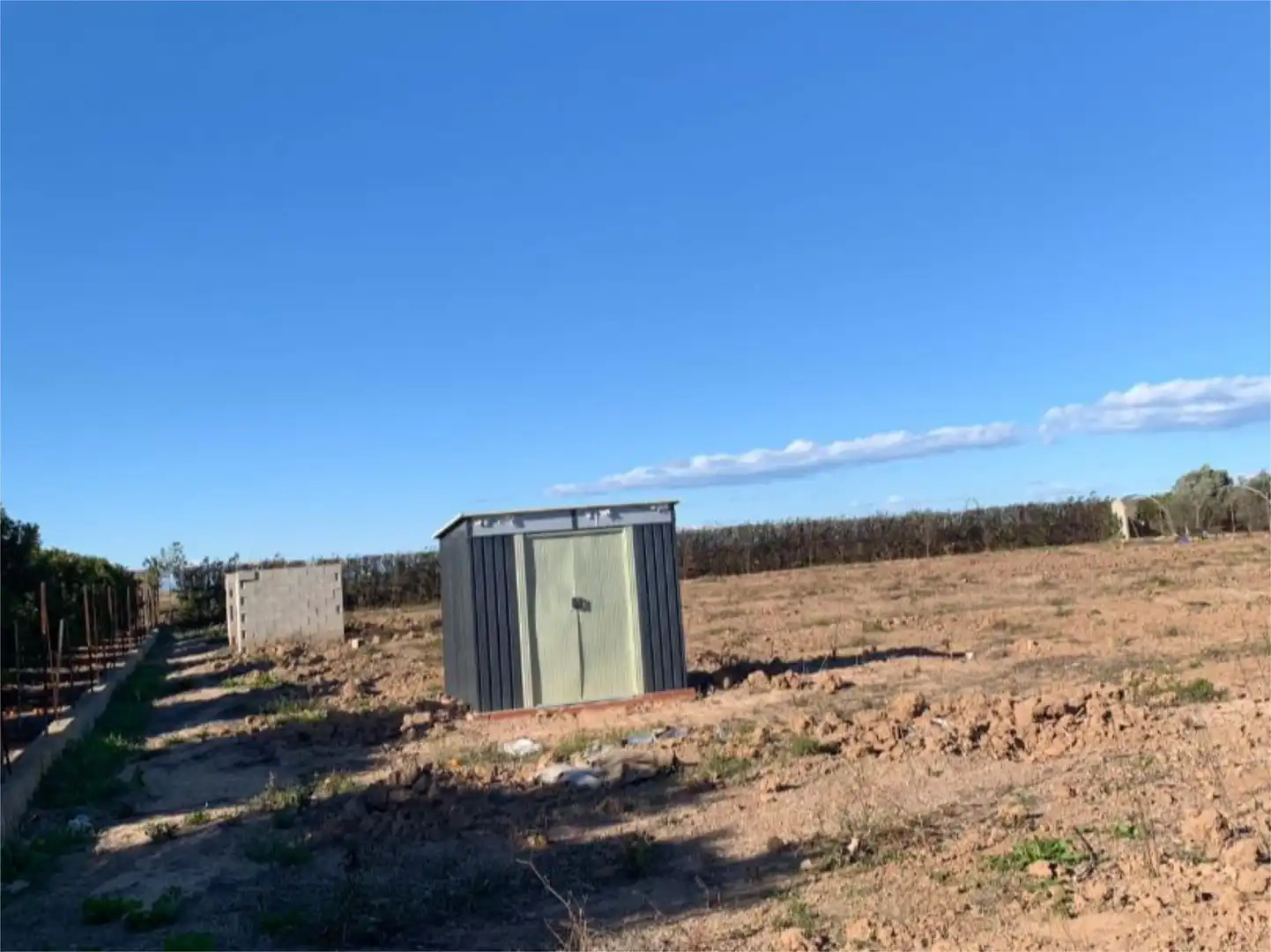 Non-constructible Land for sale in Cullera