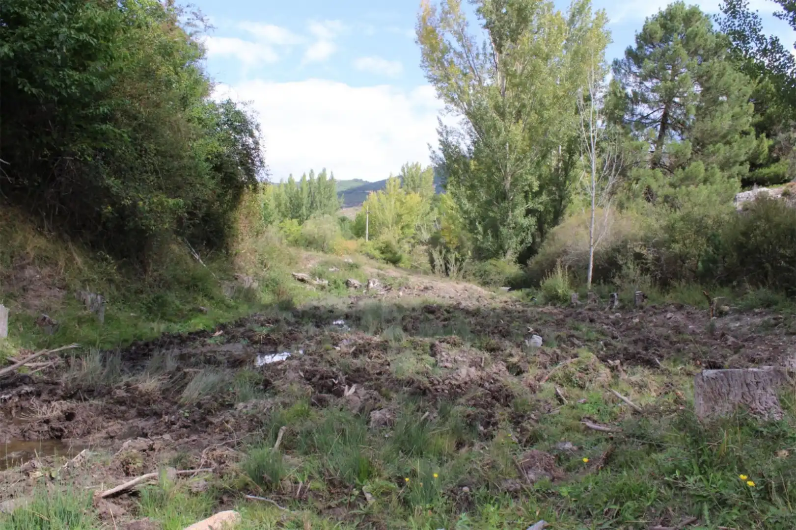 Finca rústica en venta en Quéntar