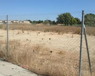 Constructible Land for sale in Montequinto